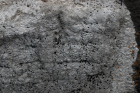 Exposures along margins of country road R477 of Dinantian Burren Limestone Formation where Carboniferous limestone covered by a travertine surface.